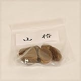 盆栽種子：山椿