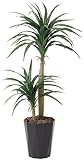 TREE-h/人工観葉植物 鉢植え インテリアグリーン 光触媒 ドラセナ・コンシンネ130cm