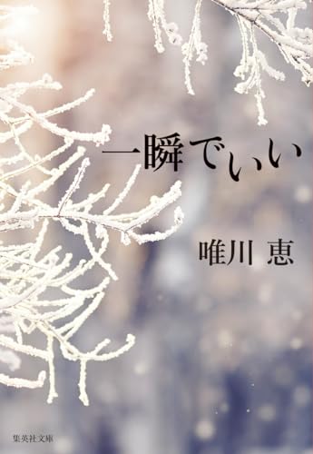 唯川恵:一瞬でいい (集英社文庫)