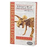 ヤマサン(Yamasan) Dino Fantasy スケルトン・キット トリケラトプス 510286-2 全長20cm