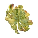 Homyl 全６様式多色選ぶ　癒し　人工観葉植物　人工多肉植物　花　草　植物　卓上　店舗　家の装飾　インテリア　 - 色10, 様式5