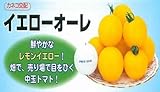 【中玉トマト種子】イエローオーレ　（カネコ種苗）1000粒