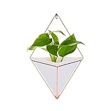 AWHAO 植物ハンガー プラントホルダー ハンギング 多肉植物 観葉植物 インテリア 飾り用 ホワイト (12 * 18.5cm)