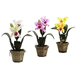 Nearly Natural 4067-AS-S3 Cattelya Orchid with Vase, White/Orchid/Yellow, Set of 3 [並行輸入品]