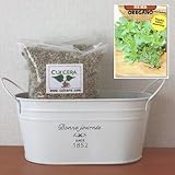 オレガノの栽培セット/標準セット（液体肥料なし）プランターホワイト仕様