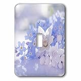 3drose Uta Naumann写真花 – Floral Still Life withホワイトandブルーTiny Flowers – 照明スイッチカバー – シングルトグルスイッチ( LSP 