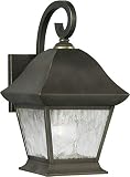 Forte Lighting Forte Lighting Royal Bronze Finished Exterior Wall Light With Clear Seeded Glass Shad