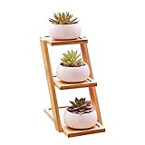 LEKING 多肉植物ポット 陶器鉢 白 ミニ 3層 竹トレイ付 多肉植物 サボテン鉢 完璧な贈り物