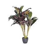 Vickerman T160930 Real Touch Dracaena Tree in Pot, 30' [並行輸入品]