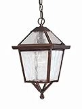 Acclaim 7616ABZ Bay Street Collection 1-Light Outdoor Light Fixture Hanging Lantern, Architectural B