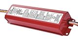 B90 INVERTER BALLAST BODINE FLUORESCENT EMERGENCY [並行輸入品]