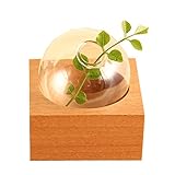 丸い花瓶がコロンと可愛い La Luz（ラルース） ウッドフラワーベースC　シングル ブラウン