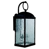 Sea Gull Lighting 88192-802 Outdoor Sconce with Seeded WaterGlass Shades, Obsidian Mist Finish [並行輸入