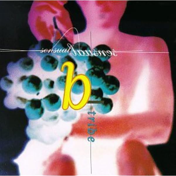 その他 B-Tribe / 5 [CD] Amazon.co.jp: 5: ミュージック