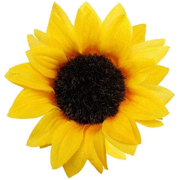 オシュコシュ　ズボン　レア　ひまわり オシュコシュ ズボン レア ひまわり オシュコシュ ズボン レア