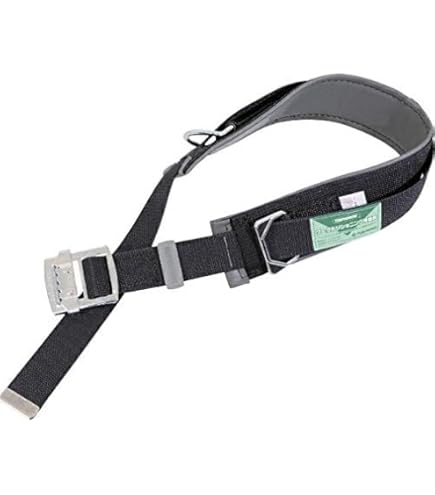 Amazon.co.jp: 藤井電工 新規格 柱上作業用 [TDB胴補助ベルト] Mサイズ