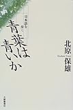 青葉は青いか―日本語を歩く