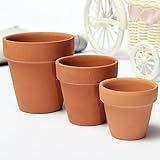 amzmonnsuta 赤 セラミックス製植木鉢　植え鉢　小さい植物　粘土　プランター