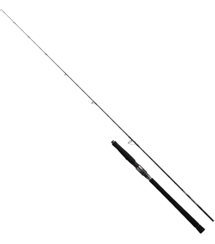 Amazon | ダイワ(DAIWA) キャスティングロッド SALTIGA C 84-2.5