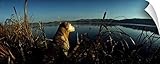 キャンバス上需要壁Peel壁アート印刷entitledイエローLabrador Retriever duck hunting MT 36" x 14" 87165_14_36x14_none