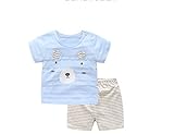 Nibusoキッズセット服　1～４歳の赤ちゃん向け　ベビー夏服　上下セット２点服　綿、上着カートゥーン熊の図案、ストライブズボン　子供半袖セット服　厚さちょうど　ブル、ピンク２色選択可　身長66/73