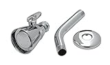 T&S Brass B-1090 Shower Head With Adjustable Ball Joint, 1/2-Inch Npt Male Arm and Adjustable Flange