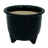 黒観音竹鉢　　７号　　／植木鉢