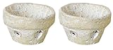 azi-azi ハンドメイド 小さなテラコッタ ミニチュアパーツ 植木鉢 C ホワイト 2コ入り AT-149ST
