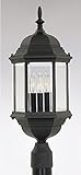 Designers Fountain 2986-BK Devonshire Post Lanterns, Black [並行輸入品]