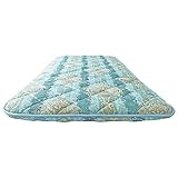 固めと柔らかめ両方対応敷布団 【1： シングルサイズ】 固わた2枚入り 日本製 グリーン(緑) [並行輸入品]