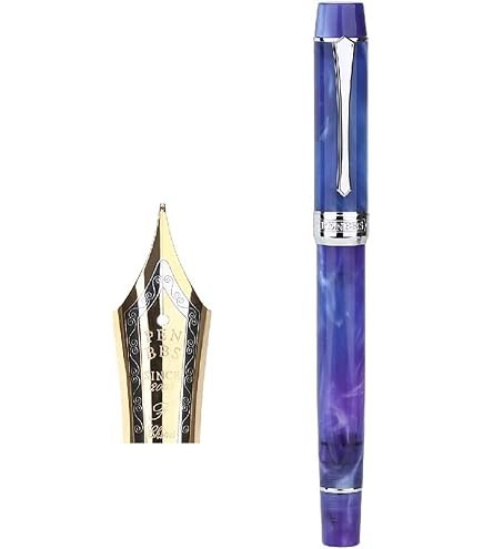 Amazon | Kaigelu 222 万年筆 細字ペン先 インクコンバーター付き