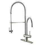VIGO Dresden Pull-Down Spray Kitchen Faucet with Deck Plate, Stainless Steel [並行輸入品]