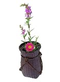 竹製・掛花籠「山里」