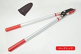 三陽金属 ZACT 太枝切鋏ANG-650(パイプ:シルバー グリップ:赤)