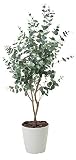 光触媒 人工観葉植物 光の楽園 ユーカリ1.25m 370A180