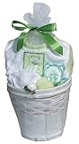 Raindrops Furry Friends Teddy Bear Footie Gift Set, Pistachio Green, 0-3 Months, 4 Piece by Raindrop