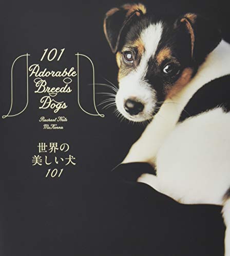 世界の美しい犬101 世界の美しい犬101
