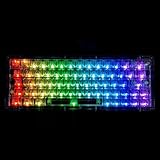 T40クリスタルクリア メカニカルキーボード 68キー RGBバックライト付き Windows/Mac対応 有線キーボード プラグアンド ホットスワップスイッチ付き プレイ オフィス&ゲーミング用 英語配列 (イエロー軸)