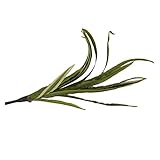 PINKING　観葉植物の造花　プラスチック　かわいい　装飾　DIY　人工　シミュレーション