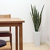 観葉植物 (15)　サンセベリア H100　■白鉢　【人工観葉植物　造花】【CT触媒】【フェイクグリーン】