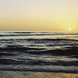 STEP INTO THE EARTHQUAKE [2LP] [Analog]