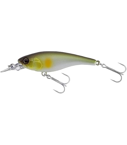 Amazon.co.jp: JACKALL(ジャッカル) シャッド ソウルシャッド SR SP