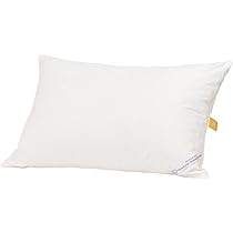 Amazon｜【ふとん工房 グーグ】 北海道産ダウン フェザー & ダウン