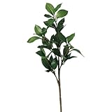 asca 造花 シキビ グリーン A-40830-051A