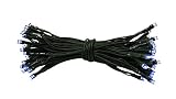 Plutus Brands Solar White LED String Lights [並行輸入品]