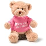 GUND ビッグシスター Tシャツべア 6047554