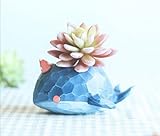 Youfui 可愛い　癒しコーギー　植木鉢　プランター　デザイン小物　ミニ樹脂コーギー　雑貨　インテリア　アウトドア　DIY　飾り　収納スタンドにも (クジラ)
