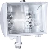RAB QF200FW Quartz Curve 200W 120V, White Color [並行輸入品]