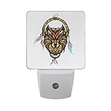 naanle Indian Dream Catcher EthnicオーナメントBoho Native American自動センサーLED Dusk to Dawnナイトライトプラグinインドアfor