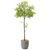 GREENPARK フィカス ナチュラルバスケット H31 グレー 造花 フェイクグリーン